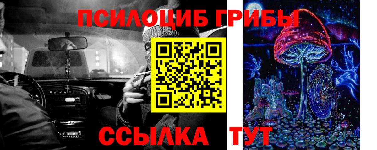 где найти   Вход с VPN  Химки  Галлюциногенные грибы Psilocybe 